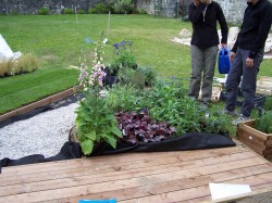 First plantings