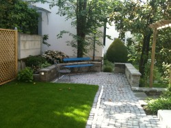 Town garden after