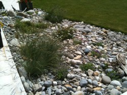 Project 2 gravel garden