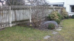 Village garden before