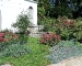 Ground cover to prevent the dogs from walking on the beds