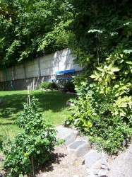 Before: long, narrow garden with wall