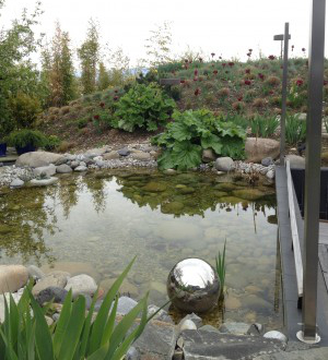 Sunken garden pond